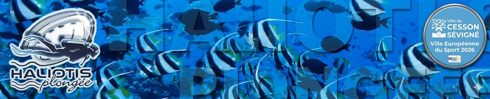 HALIOTIS - Club de Plongée Sous Marine - Cesson Sévigné